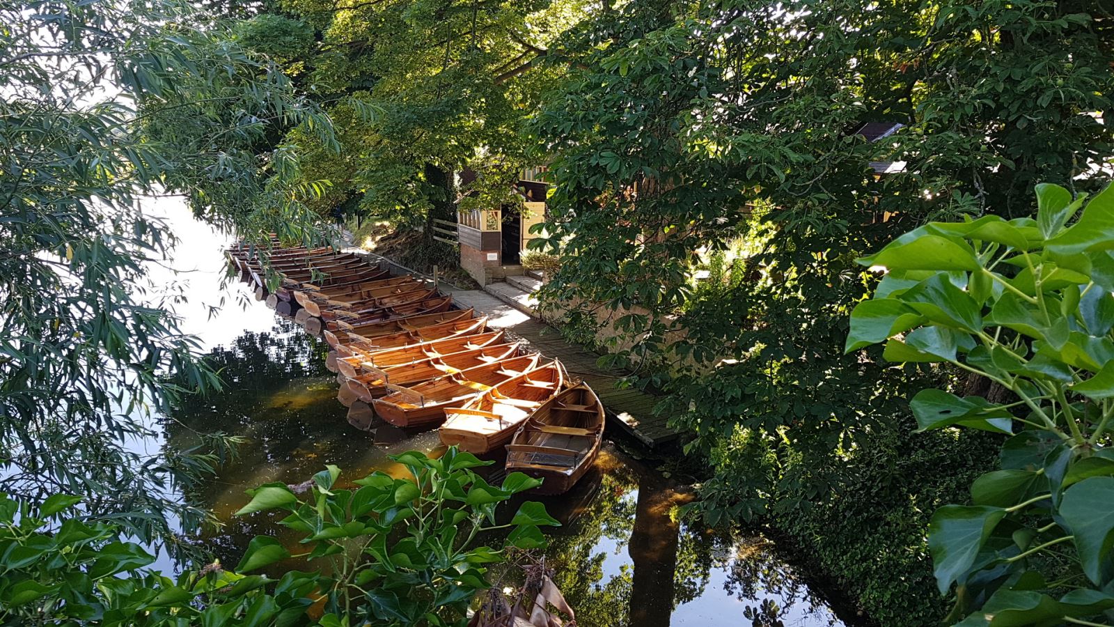 Row Boats at Dedham, Essex